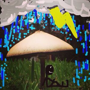 Image post by @mtzler on Instagram