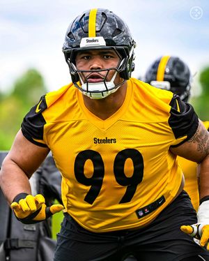 Image post by @steelers on Instagram