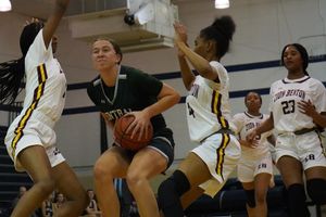 Image post by @laubhan.visuals on Instagram