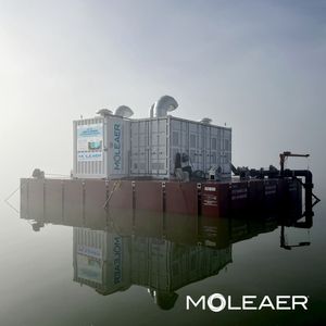 Image post by @moleaer on Instagram