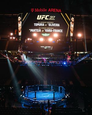 Image post by @ufc on Instagram