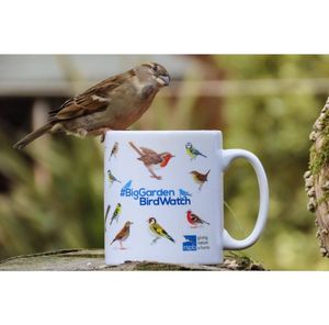 Image post by @rspb on Instagram