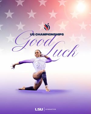 Image post by @lsugym on Instagram
