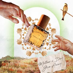 Image post by @scentbeauty on Instagram