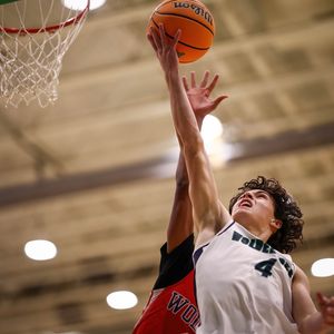 Image post by @plaidsheepcreative on Instagram