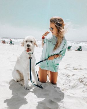 Image post by @bamadeltazeta on Instagram