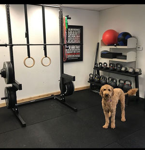 Image post by @repfitnessequipment on Instagram