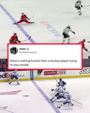 Image post by @hockeytrolls on Instagram