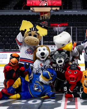 Image post by @fuegofirebirds on Instagram