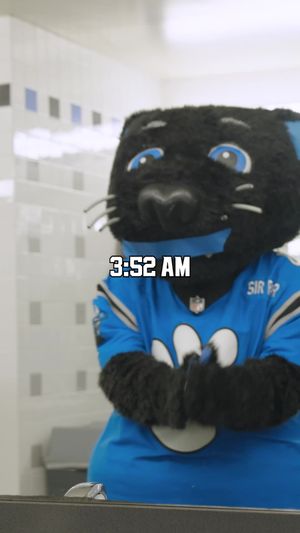 Video post by @panthers on TikTok