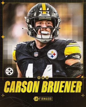 Image post by @lossteelers on Instagram