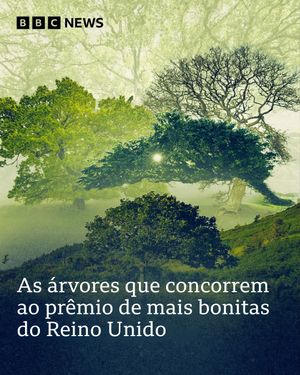 Image post by @bbcbrasil on Instagram