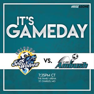 Image post by @stlouisambush on Instagram