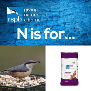 Image post by @rspb on Instagram