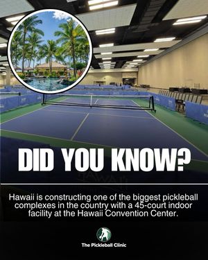 Image post by @thepickleballclinic on Instagram