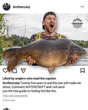 Image post by @brothercarp on Instagram