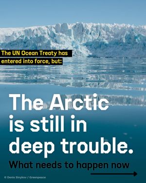 Image post by @greenpeace on Instagram