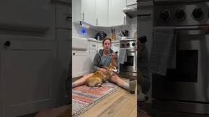 Video post by @hammyandolivia on YouTube