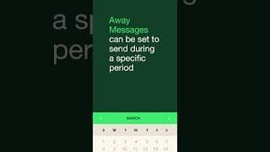 Video post by @whatsapp on YouTube
