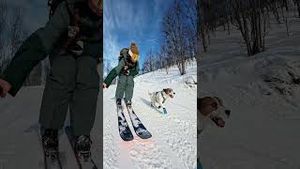 Video post by @gopro on YouTube