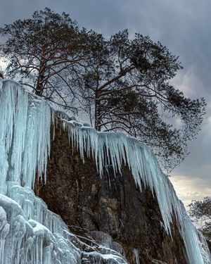 Image post by @cristan.nature.photography on Instagram