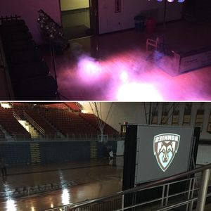 Image post by @gobonnies on Instagram