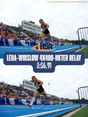 Image post by @ihsa_il on Instagram