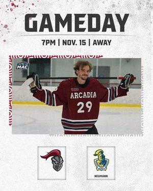 Image post by @arcadia_mih on Instagram