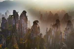 Image post by @Discovery on Twitter