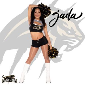 Image post by @panthersdanceteam on Instagram