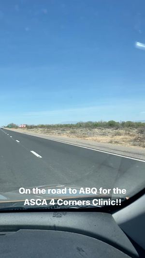 Video post by @sporfie on Instagram
