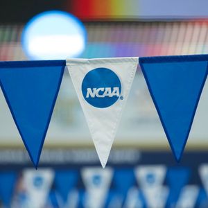 Image post by @razorbackswimdive on Instagram