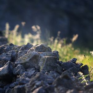 Image post by @rspb on Instagram