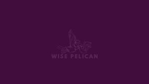 Image post by @wisepelican on Facebook