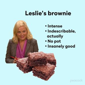 Image post by @parksandrec on Instagram