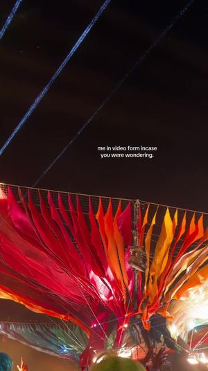 Video post by @skzzolno on TikTok