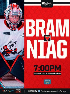 Image post by @ohlicedogs on Instagram