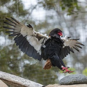 Image post by @sandiegozoo on Instagram