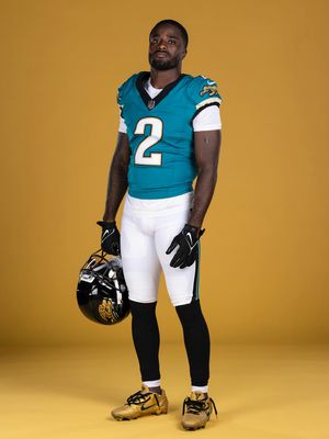 Image post by @jaguars on Instagram
