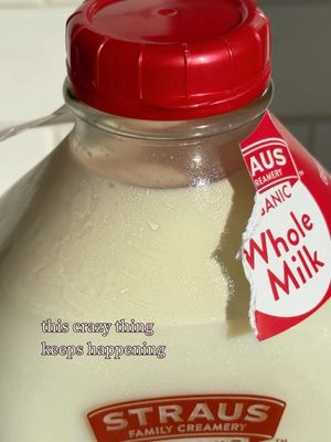 Image post by @strausmilk on Instagram