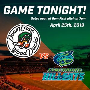 Image post by @gowoodducks on Instagram