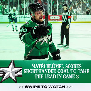 Image post by @theahl on Instagram