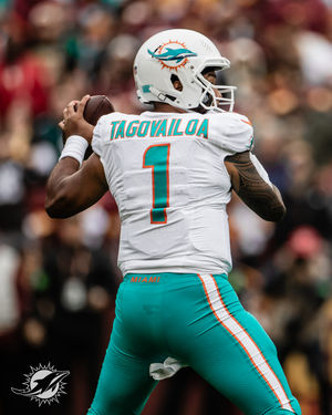 Image post by @dolphins_esp on Instagram