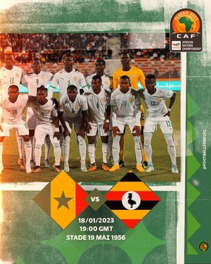 Image post by @FootballSenegal on Twitter