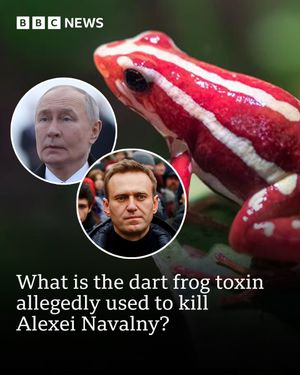 Image post by @bbcnews on Instagram