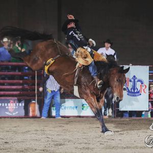 Image post by @american_royal on Instagram
