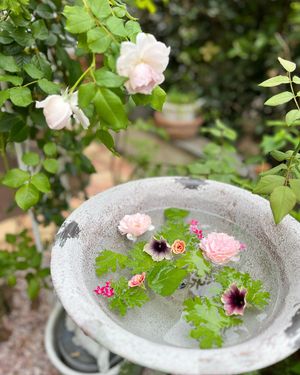Image post by @kaho_flowerdesigner on Instagram