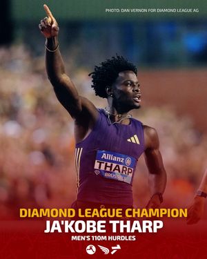 Image post by @dyestat on Instagram