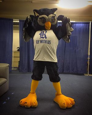 Image post by @riceathletics on Instagram