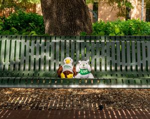 Image post by @untunion on Instagram